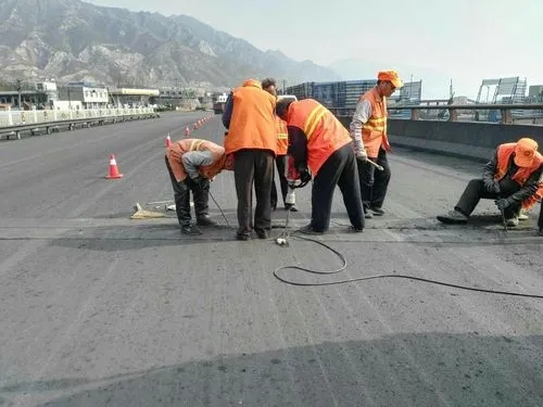 隆阳道路桥梁病害治理